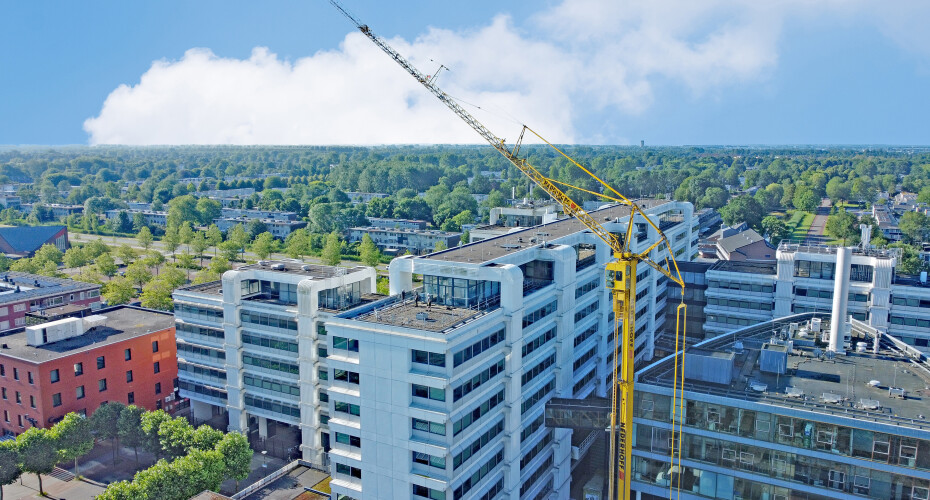 DJI_0970.1.jpg